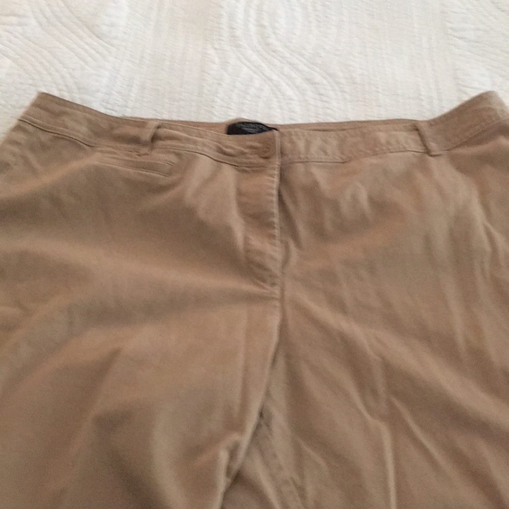 Talbots dark beige khaki pants